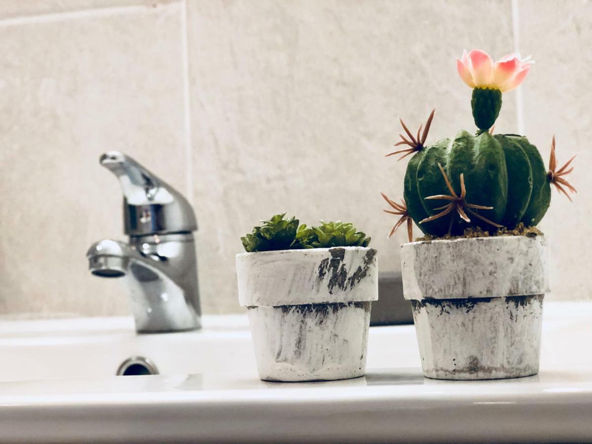 Cactus Lodge Κοραλέχο Εξωτερικό φωτογραφία